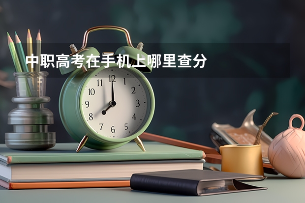 中职高考在手机上哪里查分
