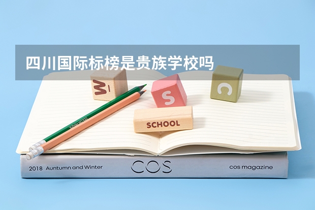 四川国际标榜是贵族学校吗